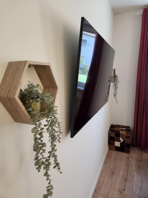 Baltic Garden Suite Dziwnów 外观 照片
